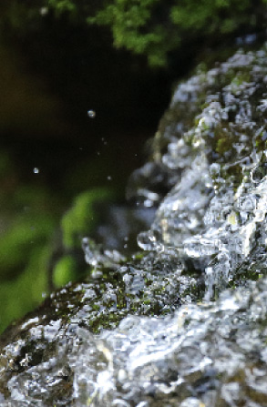 氷ノ山の湧き水