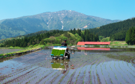 自家生産